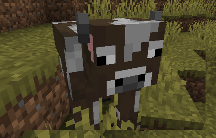 Cucumber Library hero image